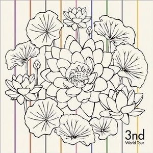 大学篮球体育撸鸡把chinese
